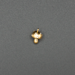 Champignon Doré